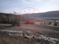 Bingöl Merkez Ekinyolu Köyü Milli Emlak'tan Satılık 897,91 m2 Tarla