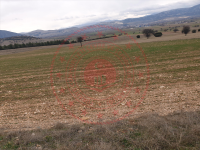 Afyonkarahisar Dinar Aktoprak Köyü Milli Emlak'tan Satılık 4.655,82 m2 Tarla