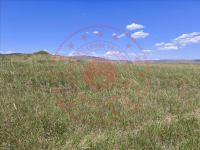 Bingöl Merkez Çimenli Köyü Milli Emlak'tan Satılık 4.143,33 m2 Tarla