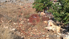 Mersin Silifke Mara Köyü Milli Emlak'tan Satılık 119,04 m2 Tarla