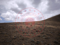 Ağrı Hamur Çağlayan Köyü Milli Emlak'tan Satılık 8.724,64 m2 Tarla