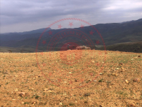 Malatya Kuluncak Göğebakan Köyü Milli Emlak'tan Satılık 5.184,40 m2 Tarla