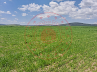 Kütahya Merkez Kızılcaören Köyü Milli Emlak'tan Satılık 2.510,00 m2 Tarla