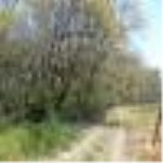 Bursa Osmangazi Gündoğdu Mahallesi Milli Emlak'tan Satılık 2.478,78 m2 Tarla