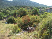 Konya Seydişehir Çatmakaya Köyü Milli Emlak'tan Satılık 132,33 m2 Tarla