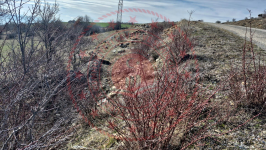 Çorum Merkez Aksungur Köyü Milli Emlak'tan Satılık 3.446,70 m2 Tarla