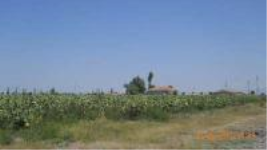 Aksaray Merkez Yeşilova - Köseli Mahallesi Milli Emlak'tan Satılık 6.924,98 m2 Arsa