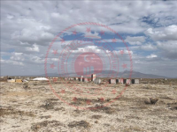 Konya Karapınar Reşadiye Mahallesi Milli Emlak'tan Satılık 1.476,94 m2 Tarla