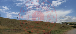 Kırıkkale Delice Kurtoğlu Köyü Milli Emlak'tan Satılık 984,24 m2 Tarla