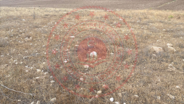 Kırşehir Merkez Kortulu Köyü Milli Emlak'tan Satılık 4.584,58 m2 Tarla