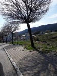 Yozgat Akdağmadeni İbrahimağa Mahallesi Milli Emlak'tan Satılık 1.909,35 m2 Tarla