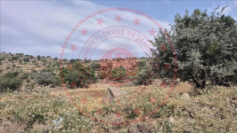 Kayseri Talas Endürlük Mahallesi Milli Emlak'tan Satılık 1.224,92 m2 Tarla