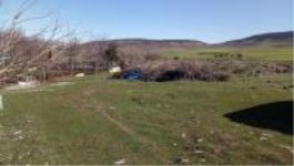 Kahramanmaraş Pazarcık Hasankoca Mahallesi Milli Emlak'tan Satılık 288,67 m2 Tarla