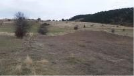 Kütahya Merkez Güllüdere Köyü Milli Emlak'tan Satılık 3.294,96 m2 Tarla