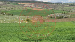 Çorum Merkez Güzelyurt Köyü Milli Emlak'tan Satılık 1.704,65 m2 Tarla