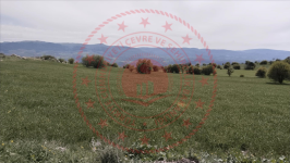 Çorum Merkez Üçköy Köyü Milli Emlak'tan Satılık 6.186,12 m2 Tarla