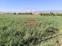 Bingöl Merkez Çeltiksuyu Köyü Milli Emlak'tan Satılık 868,96 m2 Tarla