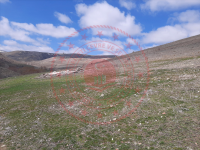 Sivas Merkez Gazibey Köyü Milli Emlak'tan Satılık 1.366,84 m2 Tarla