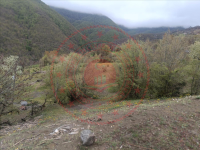Tokat Erbaa Erdemli Köyü Milli Emlak'tan Satılık 11.608,08 m2 Tarla