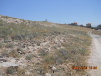 Niğde Bor Okçu Köyü Milli Emlak'tan Satılık 2.210,26 m2 Tarla