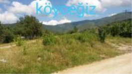 Karabük Eskipazar Köyceğiz Köyü Milli Emlak'tan Satılık 752,87 m2 Tarla