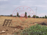 Konya Sarayönü Konar Köyü Milli Emlak'tan Satılık 535,00 m2 Tarla