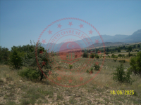 Konya Seydişehir Gevrekli Kasabası Milli Emlak'tan Satılık 785,81 m2 Tarla