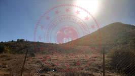 Malatya Hekimhan Ballıkaya Köyü Milli Emlak'tan Satılık 222,37 m2 Tarla