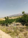 Denizli Acıpayam Gümüş Köyü Milli Emlak'tan Satılık 6.076,67 m2 Tarla