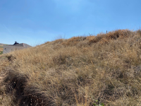 Kayseri Kocasinan Eyim Mahallesi Milli Emlak'tan Satılık 1.599,25 m2 Tarla