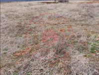 Afyonkarahisar Başmakçı Küllüce Köyü Milli Emlak'tan Satılık 659,06 m2 Arsa