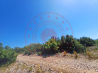 Muğla Menteşe Yaraş Köyü Milli Emlak'tan Satılık 2.500,57 m2 Tarla