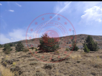 Gümüşhane Merkez Arzularkabaköy - Merkez Mahallesi Milli Emlak'tan Satılık 19.999,26 m2 Arsa