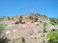 Konya Seydişehir Ketenli Kasabası Milli Emlak'tan Satılık 729,82 m2 Tarla