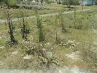 Kütahya Merkez İnli Köyü Milli Emlak'tan Satılık 387,47 m2 Tarla