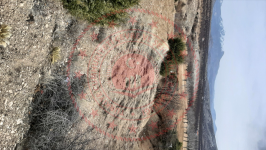 Malatya Hekimhan Salıcık Köyü Milli Emlak'tan Satılık 2.216,98 m2 Tarla