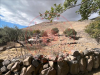 Konya Karapınar Akören Köyü Milli Emlak'tan Satılık 256,00 m2 Tarla