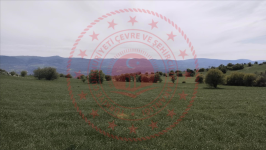 Çorum Merkez Üçköy Köyü Milli Emlak'tan Satılık 6.371,99 m2 Tarla