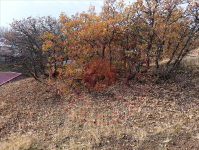 Bingöl Merkez Kıran Köyü Milli Emlak'tan Satılık 2.181,48 m2 Tarla