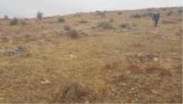 Gaziantep Şahinbey Kürüm Köyü Milli Emlak'tan Satılık 5.091,05 m2 Tarla