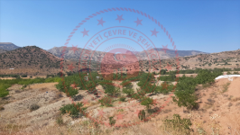 Malatya Hekimhan Haydaroğlu Köyü Milli Emlak'tan Satılık 5.513,67 m2 Tarla