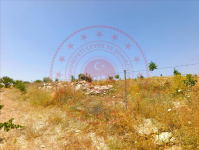 Nevşehir Gülşehir Eğrikuyu Köyü Milli Emlak'tan Satılık 1.806,73 m2 Tarla