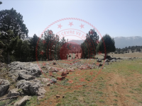 Mersin Toroslar Tırtar Köyü Milli Emlak'tan Satılık 2.464,50 m2 Tarla