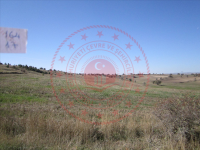 Çankırı Kurşunlu Erenler Mahallesi Milli Emlak'tan Satılık 3.131,91 m2 Tarla