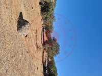 İzmir Bergama Çamtepe Köyü Milli Emlak'tan Satılık 38.445,69 m2 Tarla