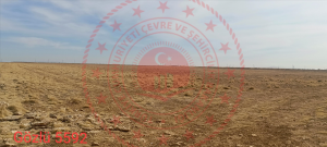 Konya Sarayönü Gözlü Kasabası Milli Emlak'tan Satılık 31.550,00 m2 Tarla