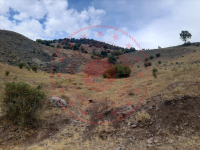 Sivas Merkez Gülpınar Köyü Milli Emlak'tan Satılık 12.311,53 m2 Tarla