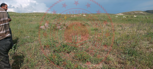 Erzurum Karayazı Çavuş Köyü Milli Emlak'tan Satılık 22.562,00 m2 Tarla