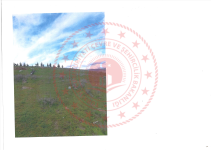 Afyonkarahisar Merkez Salar - Barbaros Mahallesi Milli Emlak'tan Satılık 330,93 m2 Tarla