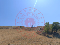 Tokat Erbaa Hacıpazar Köyü Milli Emlak'tan Satılık 11.043,82 m2 Tarla